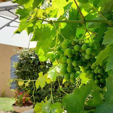 Hotel Des Vignes Julienas Ngoại thất bức ảnh
