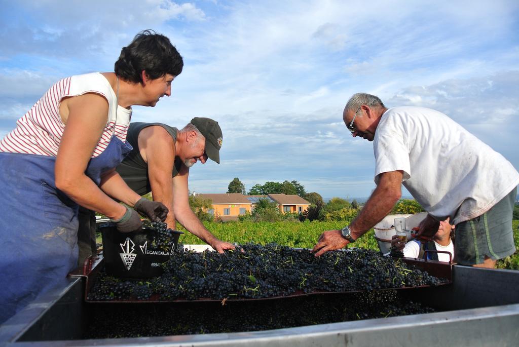Hotel Des Vignes Julienas Ngoại thất bức ảnh