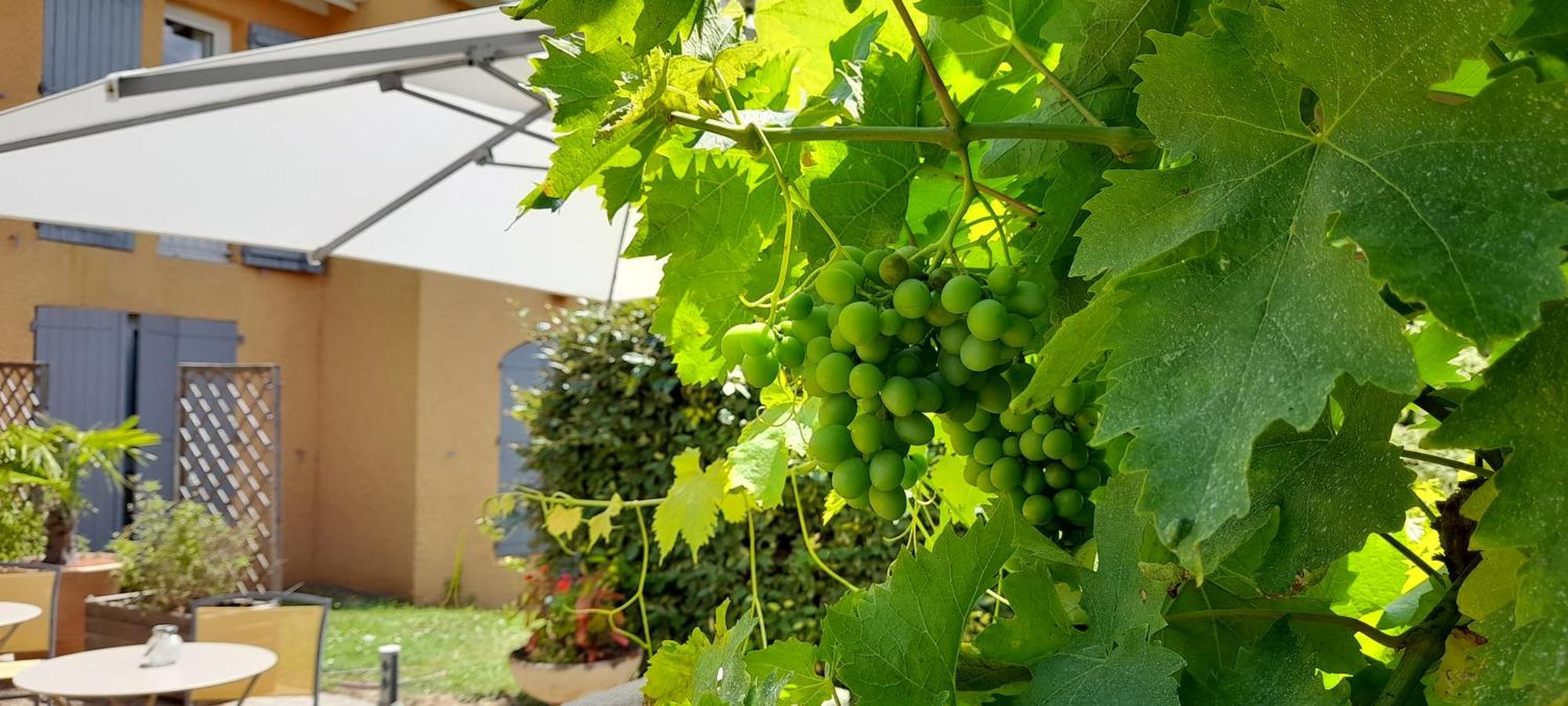 Hotel Des Vignes Julienas Ngoại thất bức ảnh